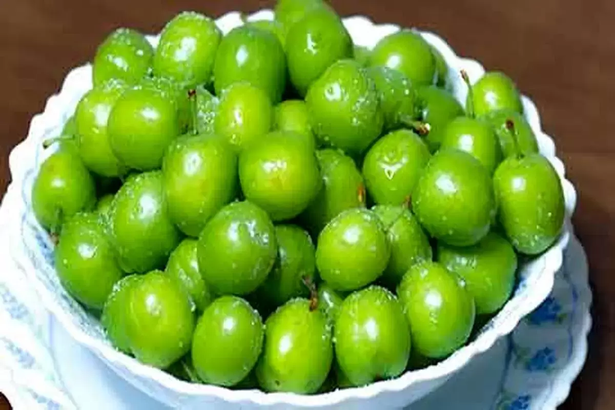قیمت رسمی گوجه سبز اعلام شد