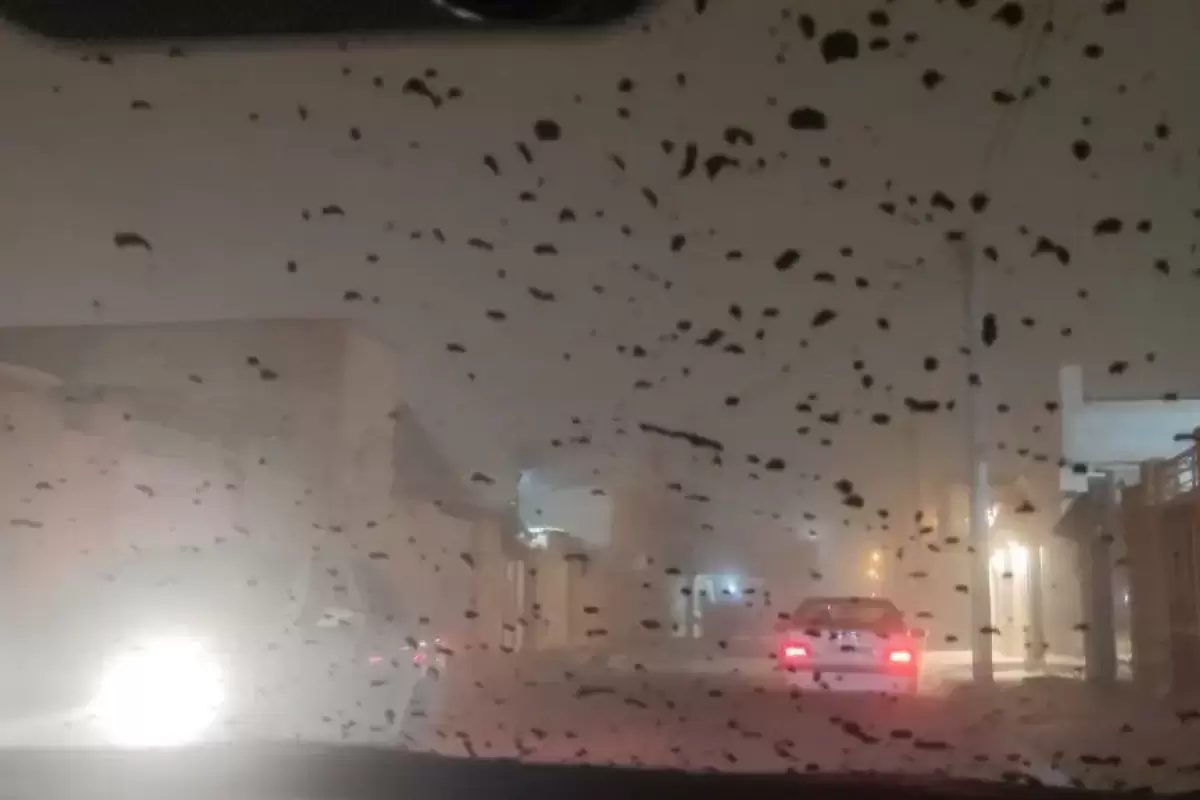 شرایط کنونی اهواز با وجود گرد و خاک+ عکس
