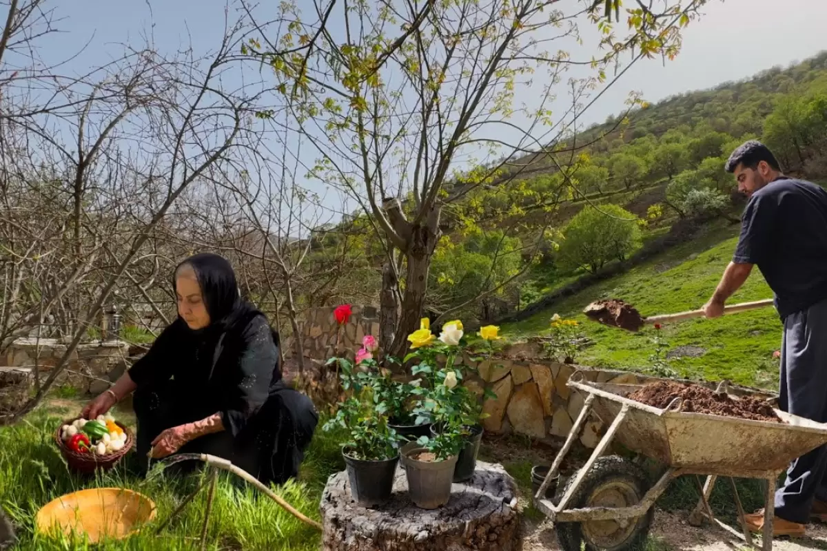 ببینید؛ غذای روستایی در ایران؛ پخت پلو کوفته در طبیعت سرسبز کردستان