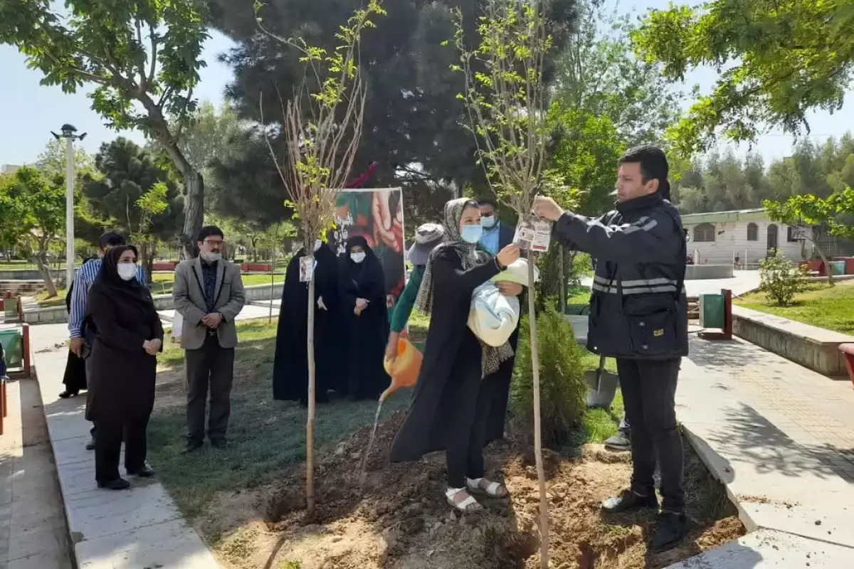هدیه ویژه شهرداری برای نوزادان متولد دی‌ماه ۱۴۰۳ و بعد از آن