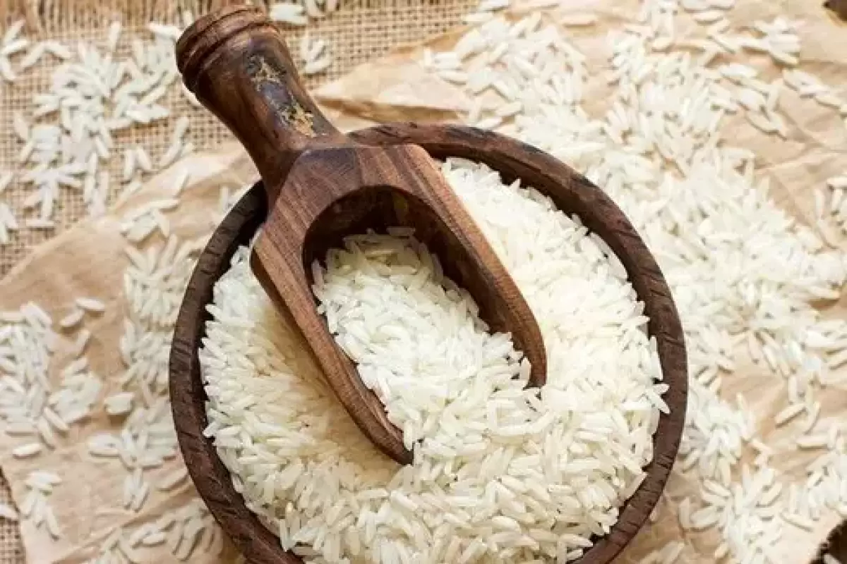 کاشت برنج موضوع اختلاف دو وزاتخانه