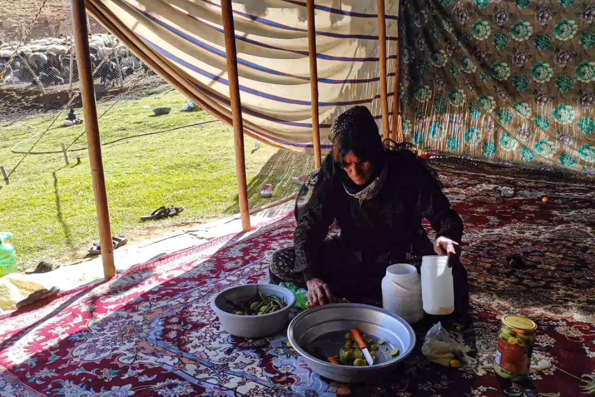 ببینید؛ غذای روستایی در ایران؛ فرآیند تهیه ترشی لیمو ترش به سبک یک بانوی عشایر