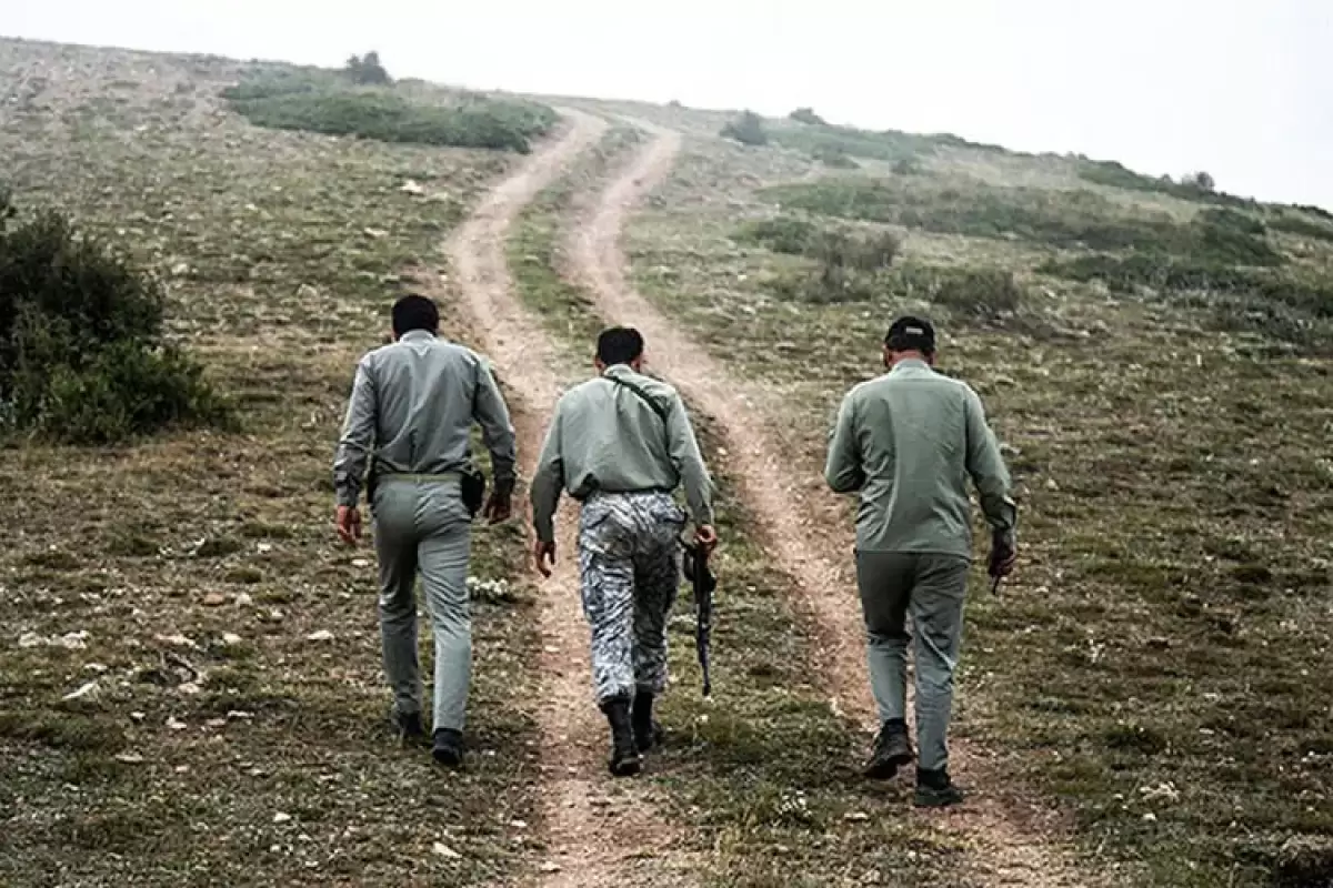 دستگیری ضاربین محیط‌بانان مجروح در منطقه حفاظت‌شده «مند»