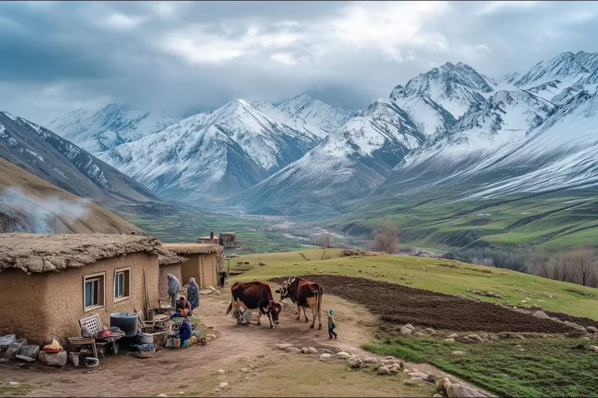 ببینید؛ غذای روستایی در افغانستان؛ شخم زدن زمین و پخت پلو گوجه-سیب زمینی
