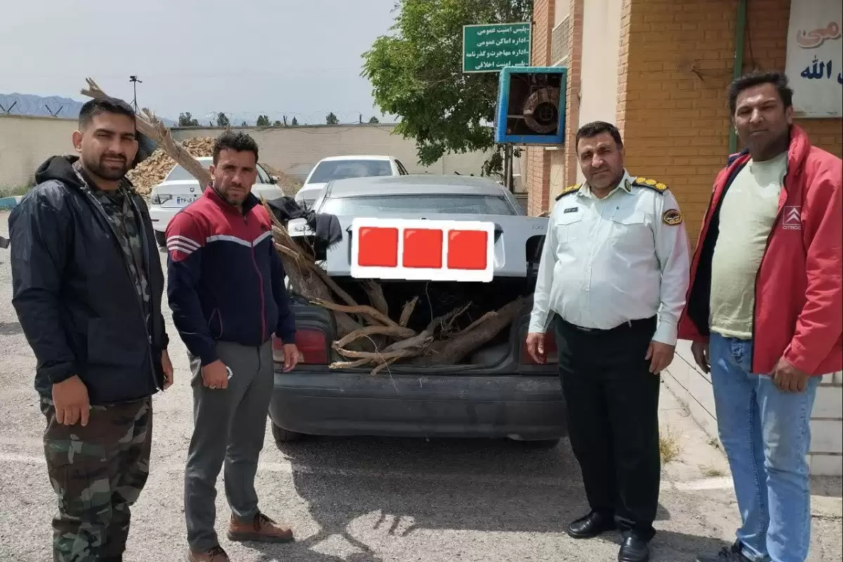 از کمین تا دستگیری قاچاقچیان چوب تاغ