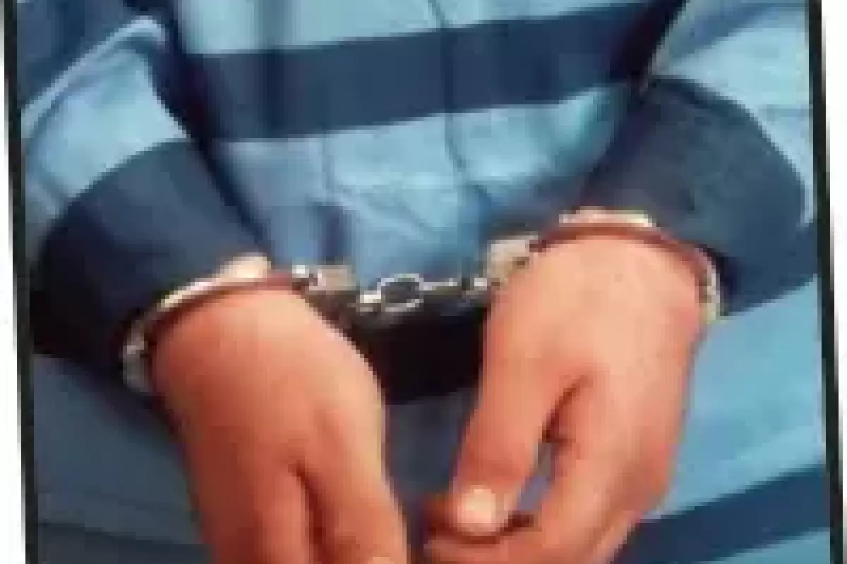 گروگانگیری سارق حین فرار ‌