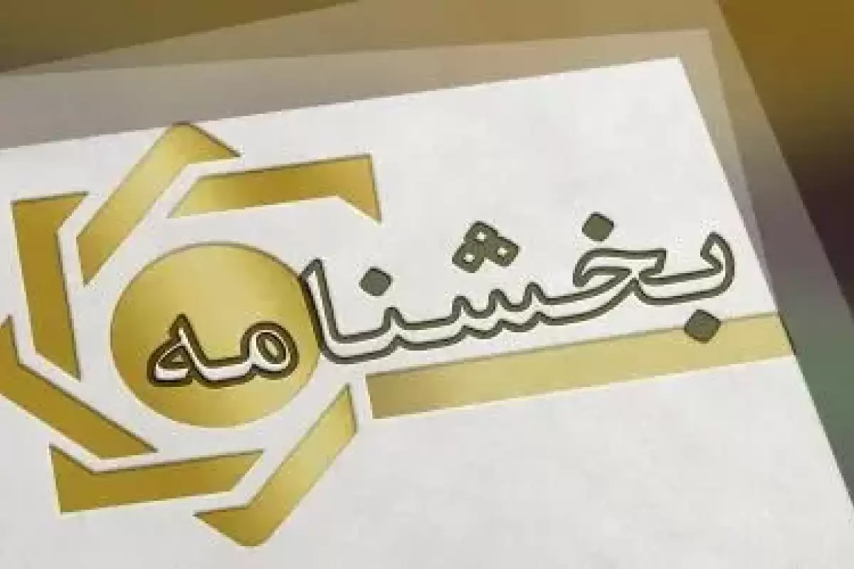 استفاده از شناسه ملی دستگاه‌های دولتی برای افتتاح حساب متفرقه غیرمجاز است