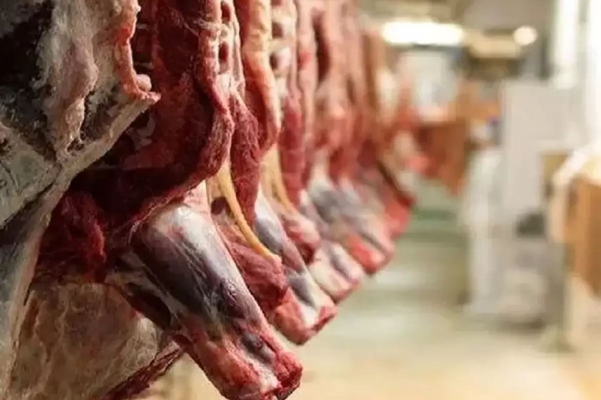 حذف برخی اقلام از فهرست کالاهای اساسی
