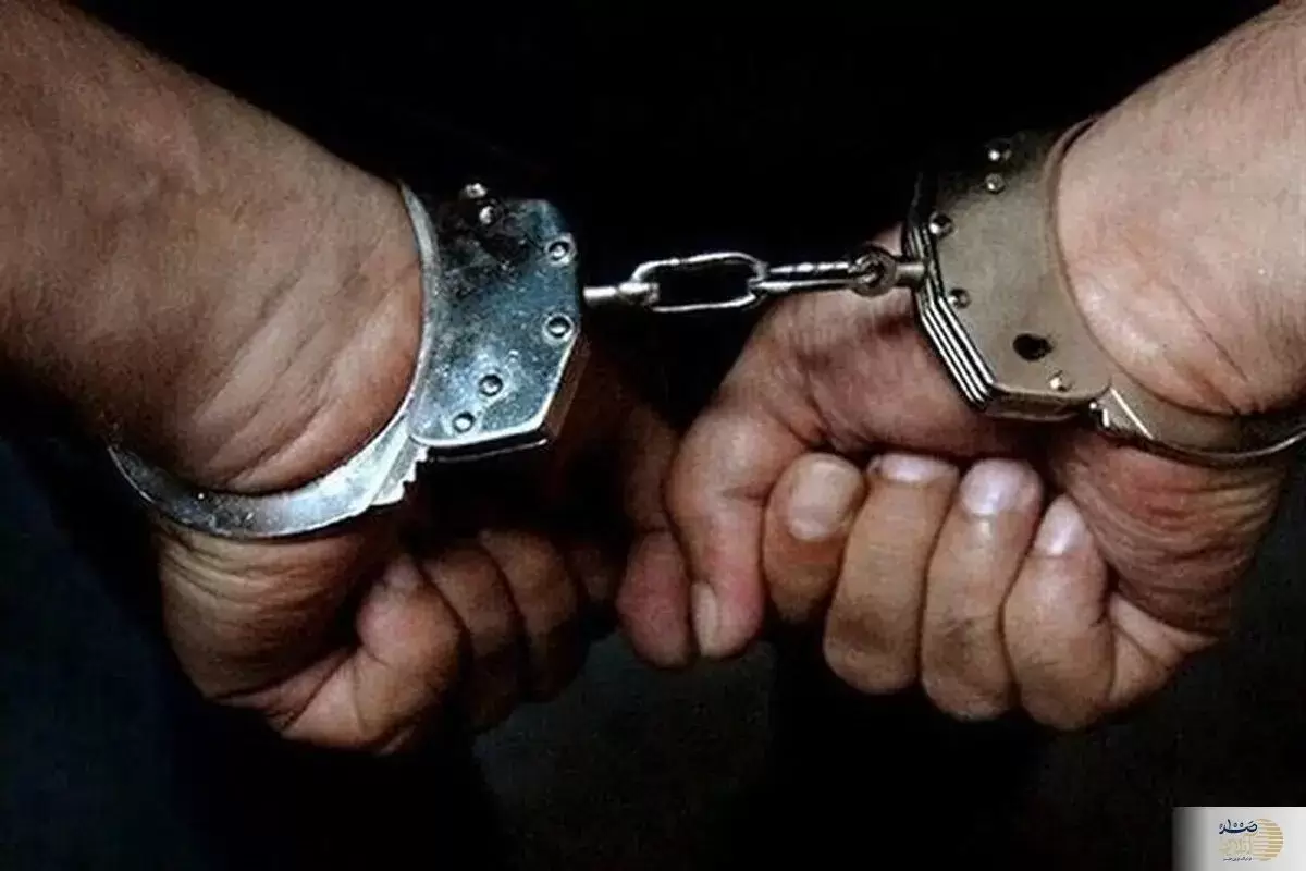 شبکه شرط‌بندی مبارزات زیرزمینی در دماوند کشف و منهدم شد