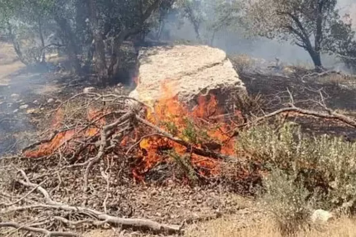 آتش‌سوزی در آرادکوه بعد از ۲ روز مهار شد
