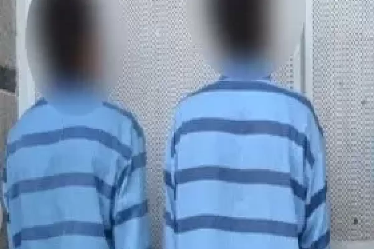 سارقان زورگیر باعث نابودی اطلاعات شرکت دانش‌بنیان پزشکی شدند