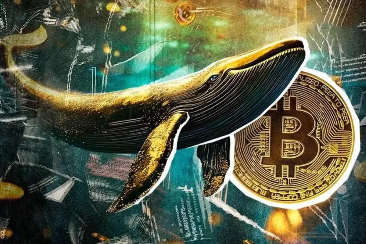 نهنگ‌های جدید کنترل بیت‌کوین را در دست گرفته‌اند!