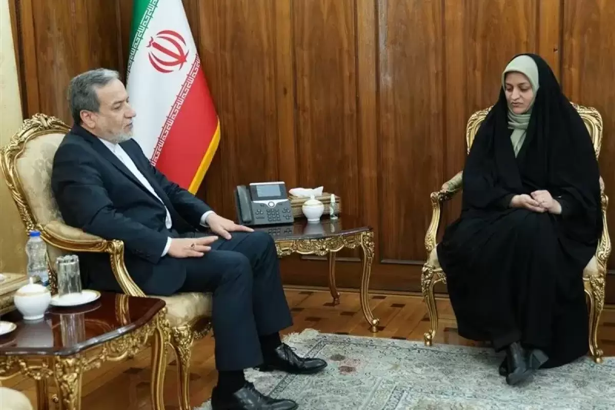 سرکنسول جدید ایران در آلماتی با عراقچی دیدار کرد