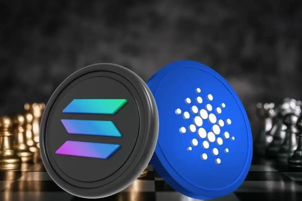 سولانا یا کاردانو؛ کدام یک را برای خرید انتخاب کنیم؟