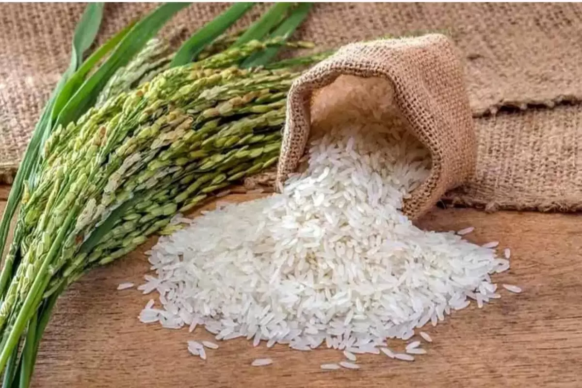 قیمت برنج ایرانی امروز ۱۸ اردیبهشت ۱۴۰۴