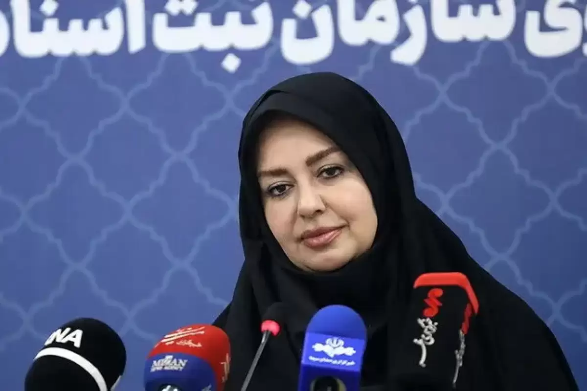 صدور بیش از ۴ میلیون و ۲۵۰ هزار سند تک برگ سبزرنگ از تیرماه ۱۴۰۳ تاکنون