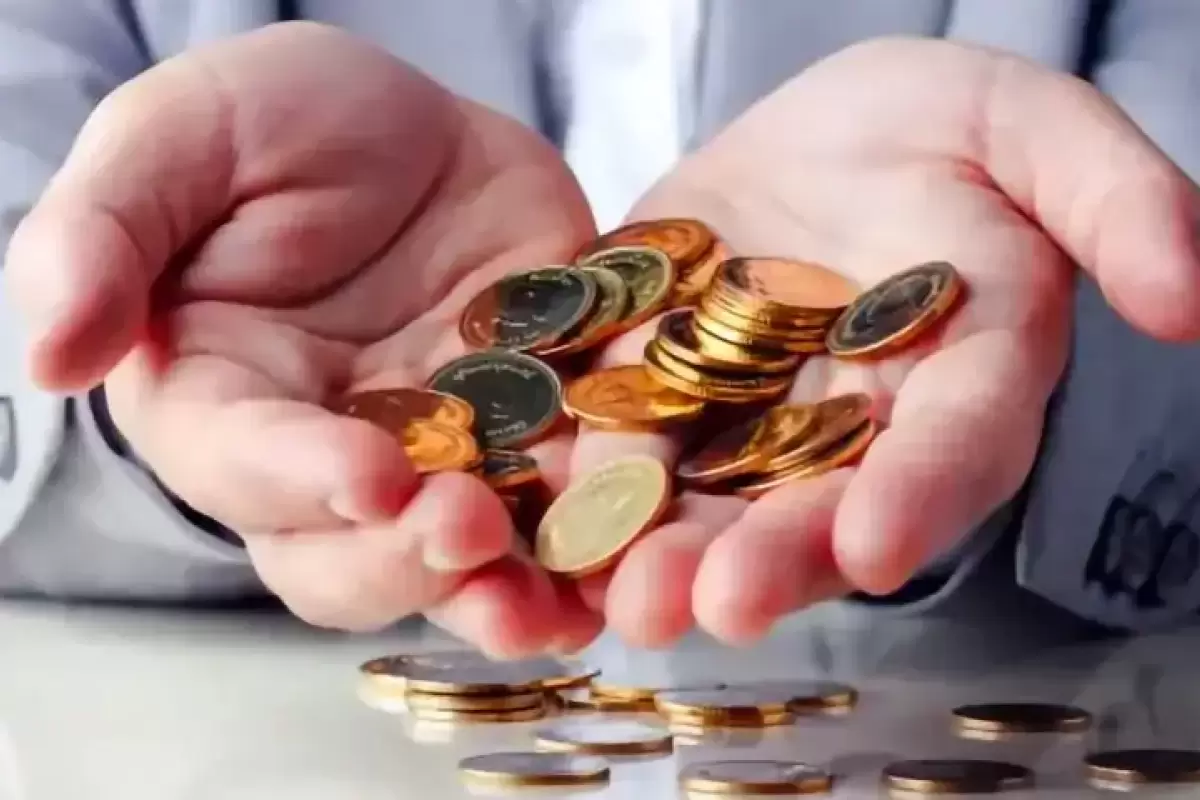 قانون‌گذاری مردانه