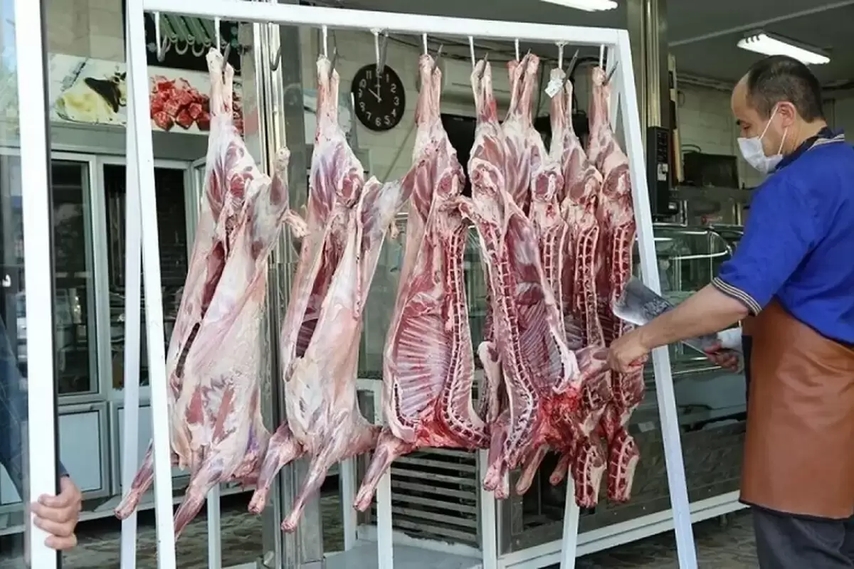 افزایش ۱۸ درصدی عرضه گوشت قرمز