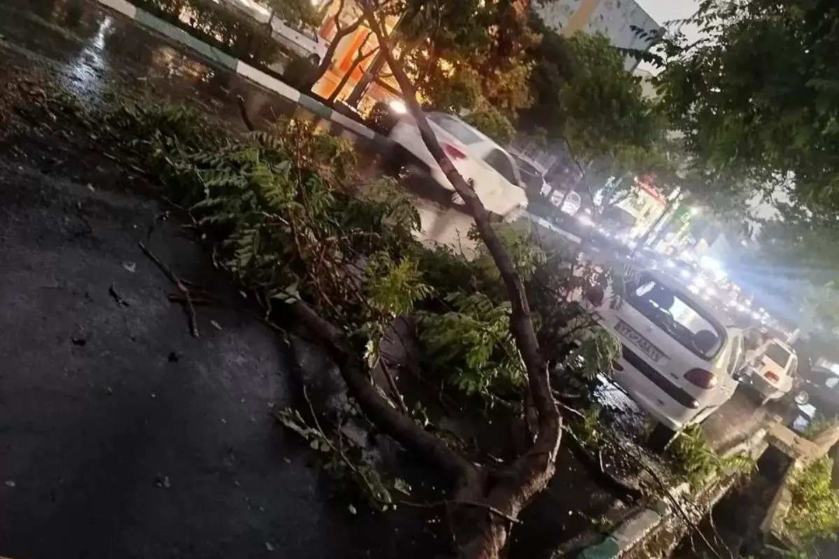 طوفان شب گذشته تهران ۷ مصدوم به جا گذاشت