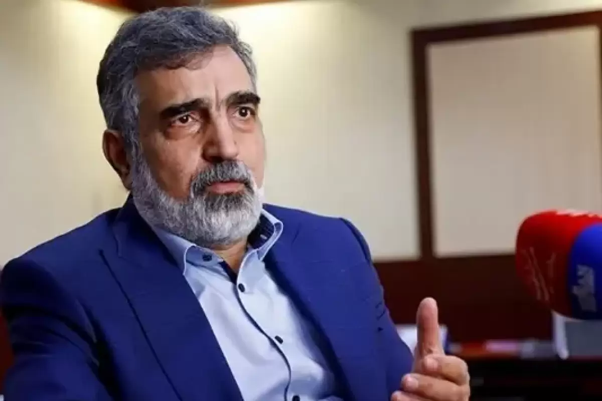 معاون سازمان انرژی اتمی: استفاده از فناوری هسته‌ای صلح‌آمیز و بدون هیچ‌گونه تبعیض نسبت به سایر کشور‌ها برای ما در اولویت است