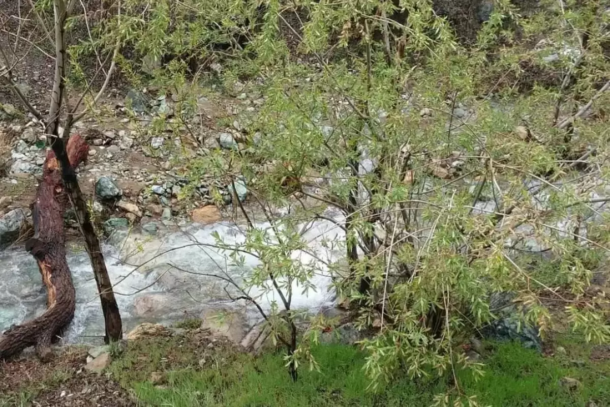 کشف جسد استاد دانشگاه در تهران