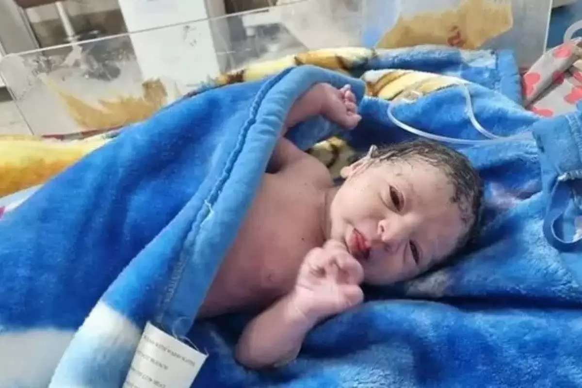سهام نوزادان ۱۴۰۲ همچنان در ابهام