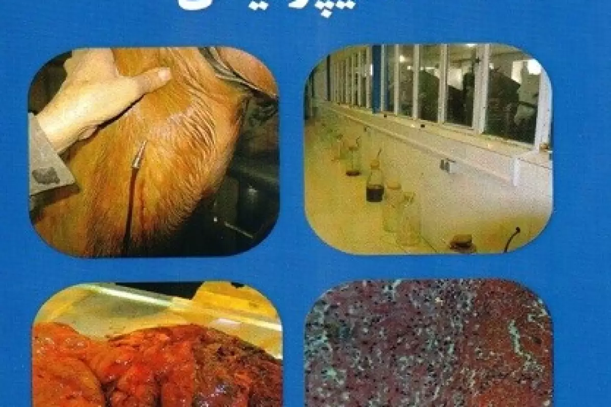 رونمایی از کتاب «دستنامه تخصصی تشخیص و درمان بیماری‌ها در اسب‌های تولیدکننده سرم‌های هایپر ایمن» توسط انتشارات موسسه رازی