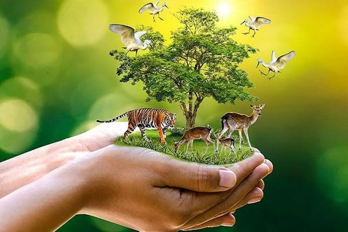 فرصتی برای تقویت زیست‌بوم‌های متنوع استان البرز