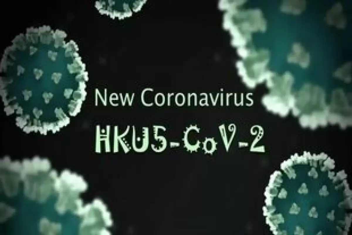 فقط یک جهش کوچک تا «اپیدمی»؛ کروناویروسِ HKU۵-CoV۲ در کمین