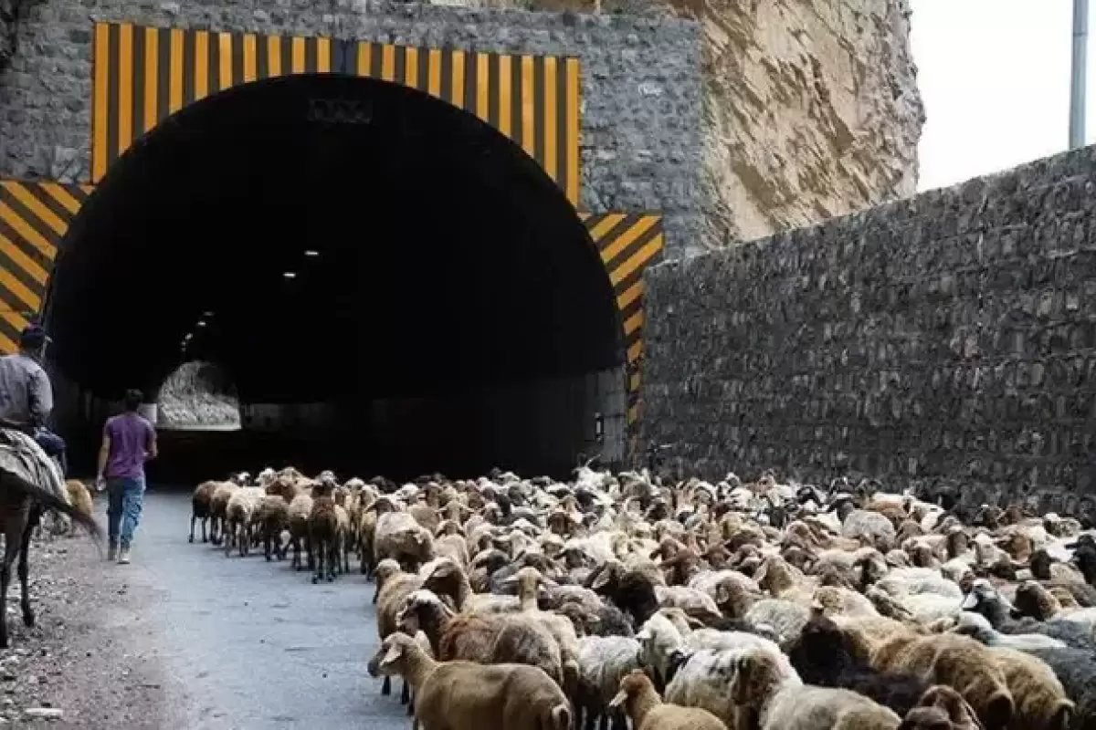 انسداد آزادراه  کرج-چالوس و تهران-شمال برای ۲۴ ساعت