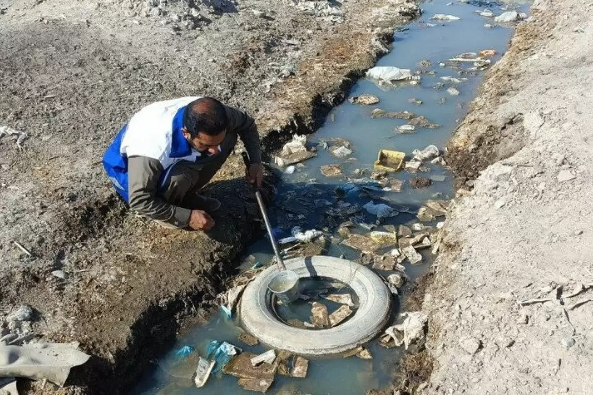 آئدس، پشه ای کوچک با خطری بزرگ