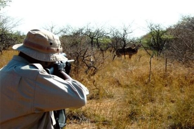 وقوع ۱۰ شکار غیر قانونی در دماوند/ هیچ مجوز شکاری صادر نشده است