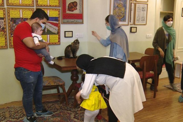 (ویدئو) کافه گربه تهران؛ خانه‌ای برای گربه دوستان