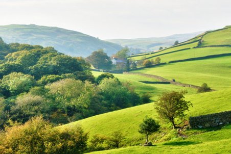 نگران کننده ترین جلسه شورای عالی محیط زیست!