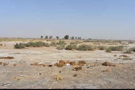 تیغ خشکسالی بر گلوی ۱۲۰ هزار هکتار اراضی کشاورزی سیستان