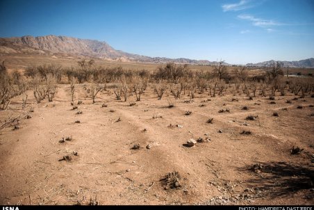تهدید بیش از 10 هزار خانوار عشایر جنوب به دلیل خشکسالی کرمان