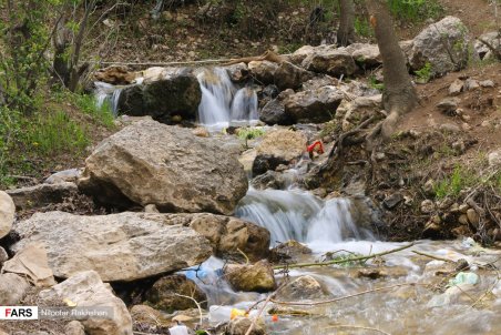 "پیرغار" میزبان گردشگران بهاری