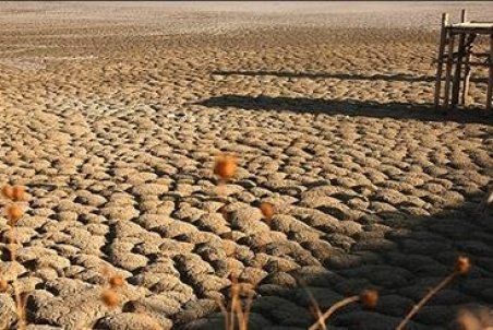 کرمان|خشکیدگی جازموریان؛ سوگواری مردمان و نگاه مسئولان