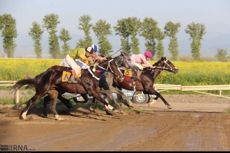 گلستان| مسابقات اسب دوانی کورس بهاره گنبد