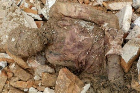 سیاست‌ورزی با جسد مومیایی رضاخان