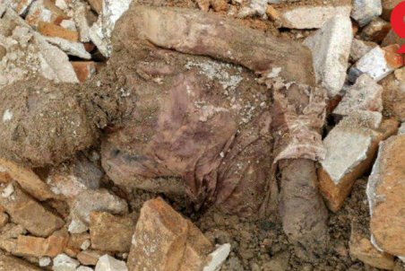 در خدمت و خیانت مومیایی