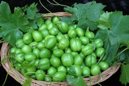 آذربایجان شرقی|جشنواره "سردری اَلچه سی" در سردرود برگزار می‌شود