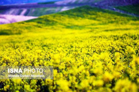 آذربایجان شرقی|  طبیعت بهاری سد ستارخان اهر دومین سد بزرگ منطقه ارسباران