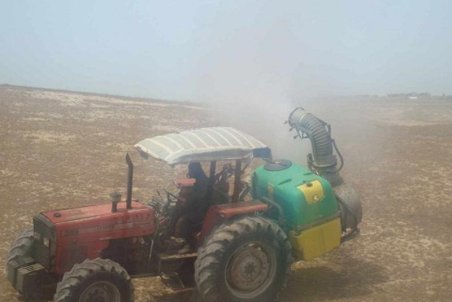 گلستان| مهار ملخ مهاجر در حوزه منابع طبیعی شهرستان آق‌قلا