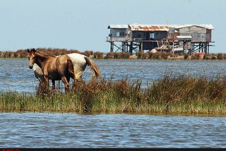 گلستان| اماواگرهای آشوراده