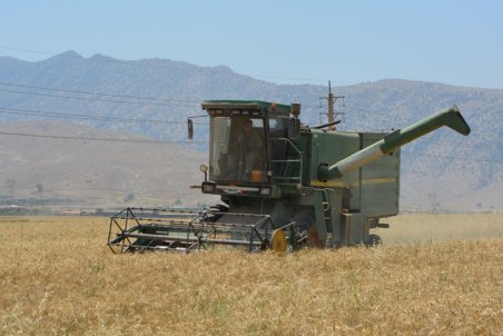 خوزستان| برداشت جو از مزارع شهرستان ایذه آغاز شد