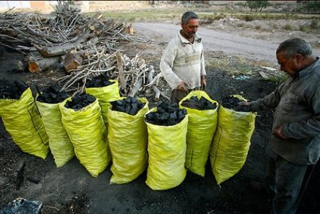 کرمانشاه| قاچاق زغال در کرمانشاه؛ عجیب اما واقعی