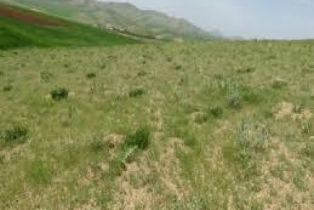 فارس| رفع تصرف ۲۵ هکتار از اراضی ملی در فیروزآباد