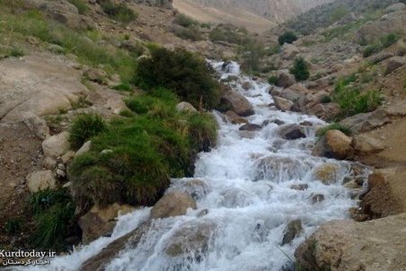 کردستان| فاضلاب، پایان تلخ چشمه‌های سنندج