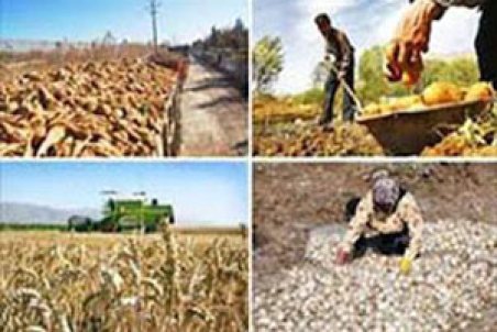 کرمان| بهره برداری از چهار پروژه کشاورزی در ریگان